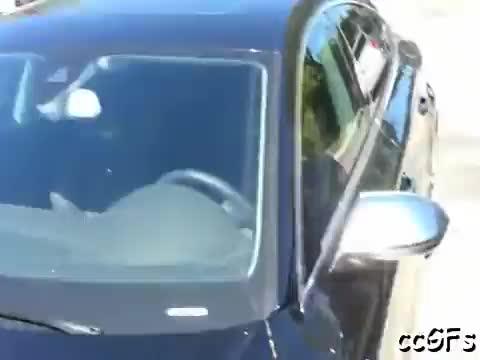 Legal age teenager gals lick pussies