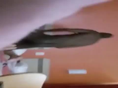 Punish my wife while i f - all horny films on my uploads